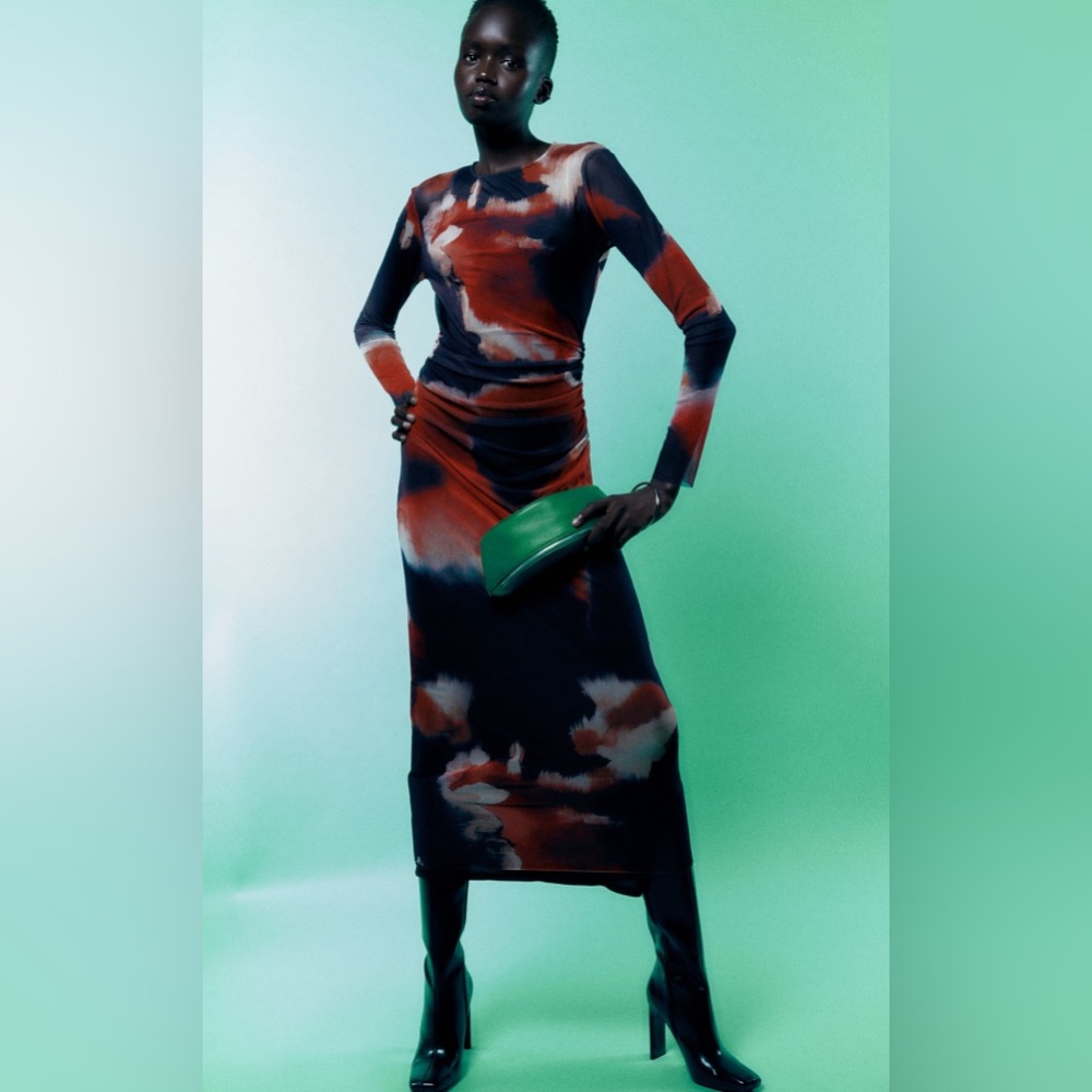 Zara Printed Tulle Dress